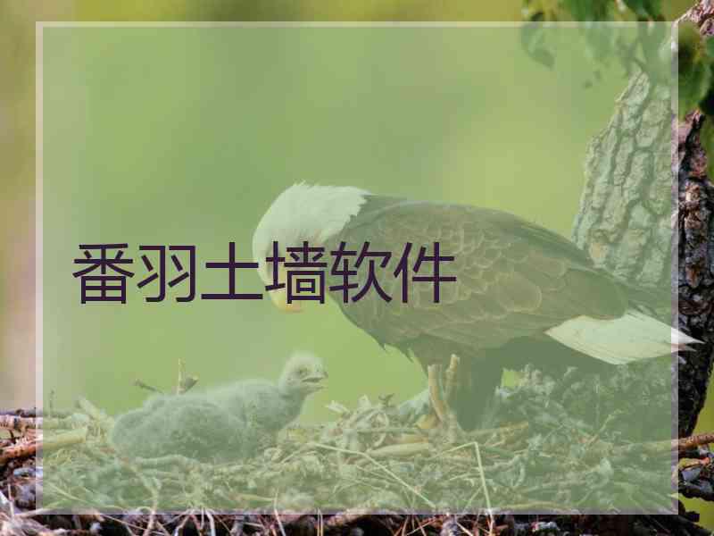 番羽土墙软件