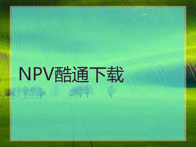 NPV酷通下载