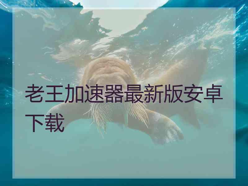 老王加速器最新版安卓下载