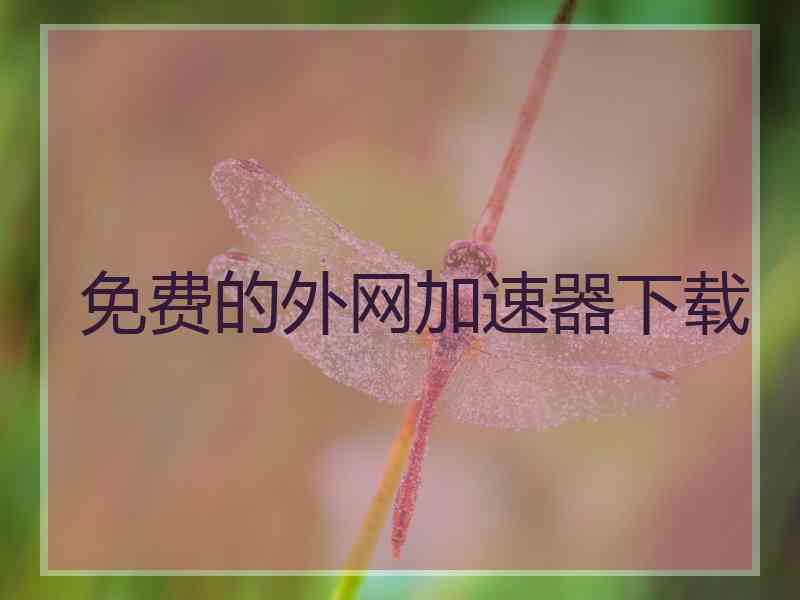 免费的外网加速器下载