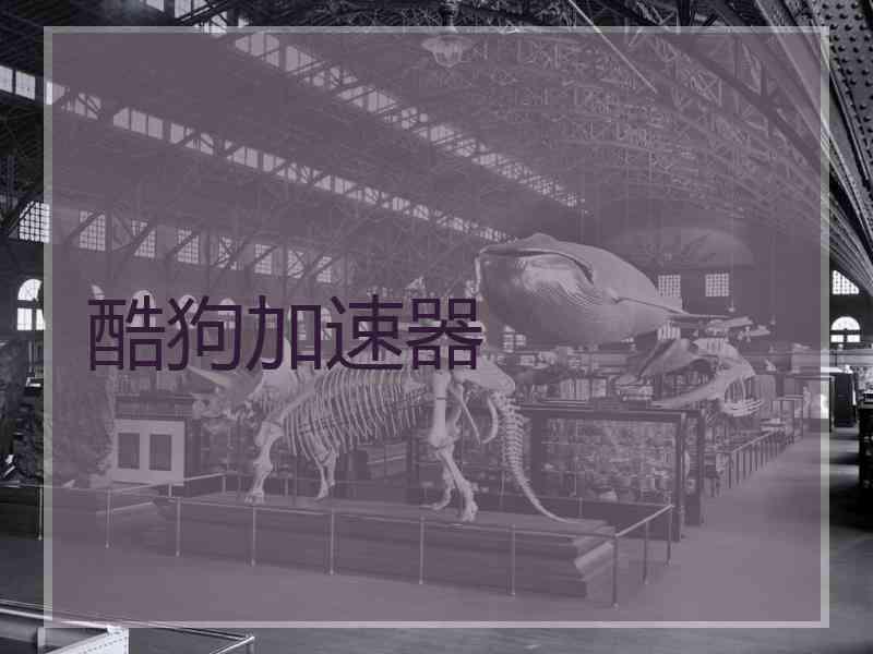酷狗加速器