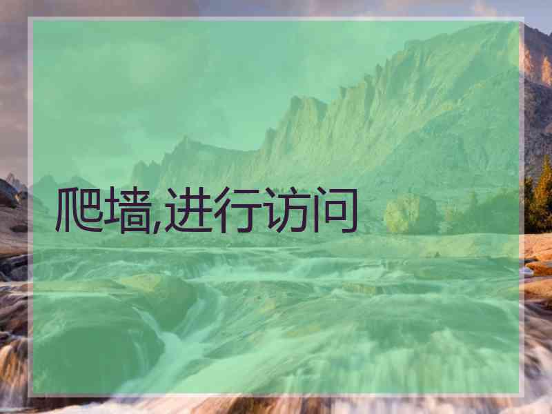 爬墙,进行访问