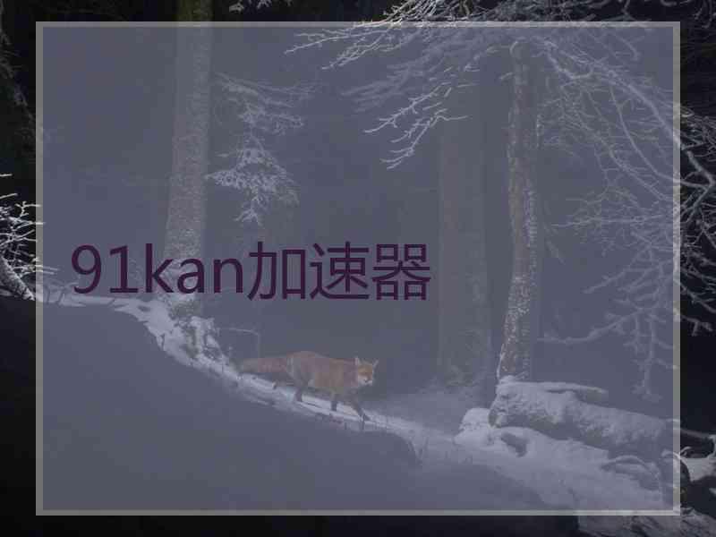 91kan加速器