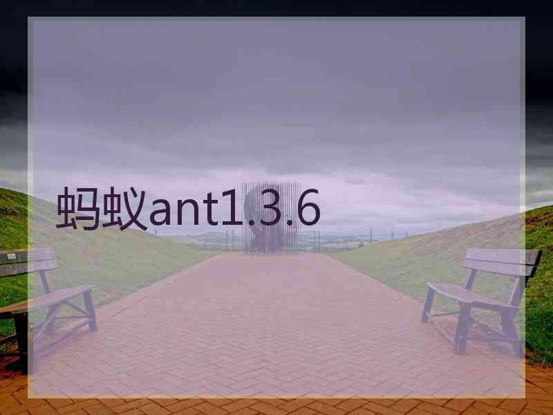 蚂蚁ant1.3.6