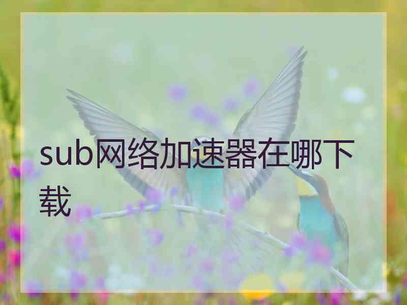 sub网络加速器在哪下载
