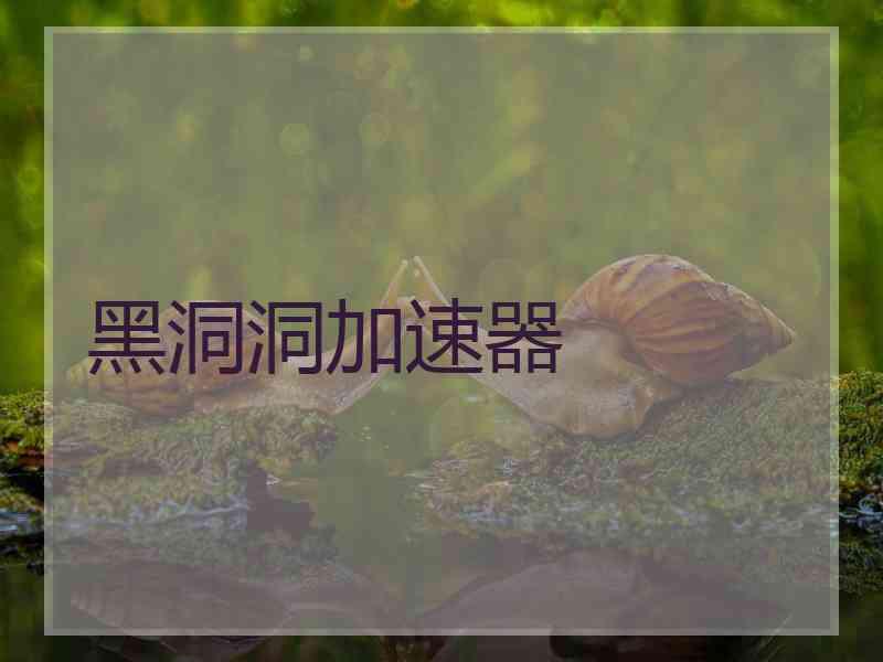 黑洞洞加速器