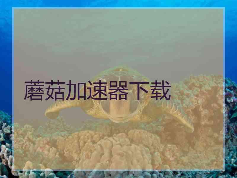 蘑菇加速器下载