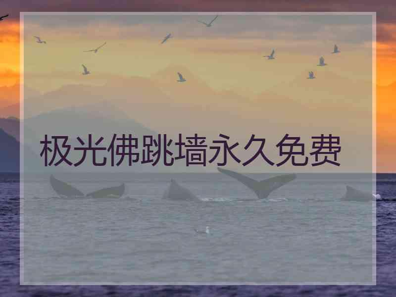 极光佛跳墙永久免费