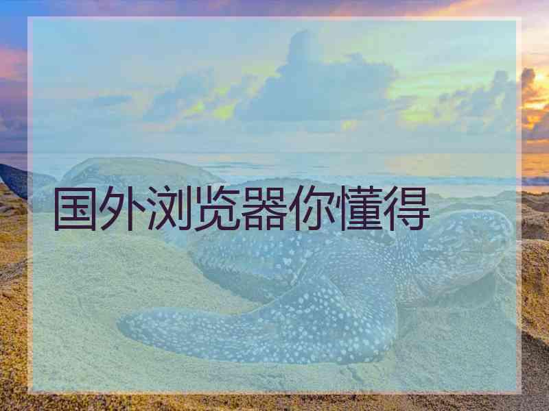 国外浏览器你懂得