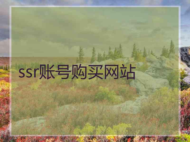 ssr账号购买网站