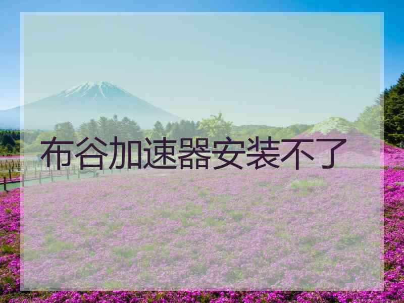 布谷加速器安装不了