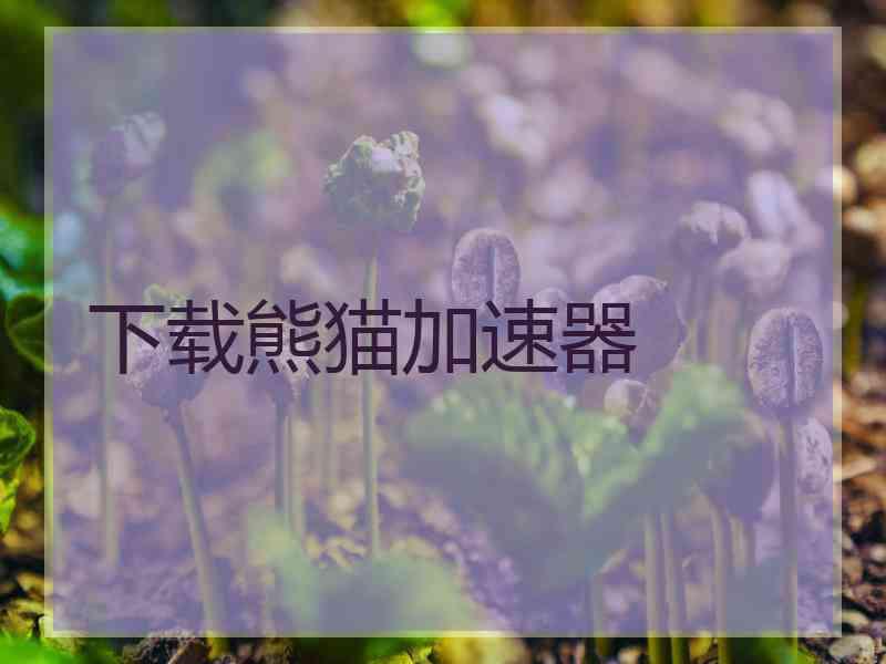 下载熊猫加速器