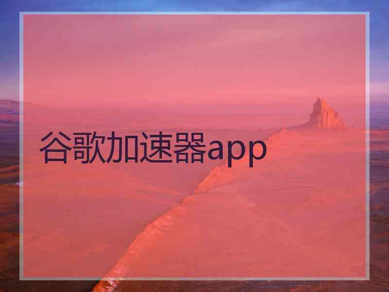 谷歌加速器app