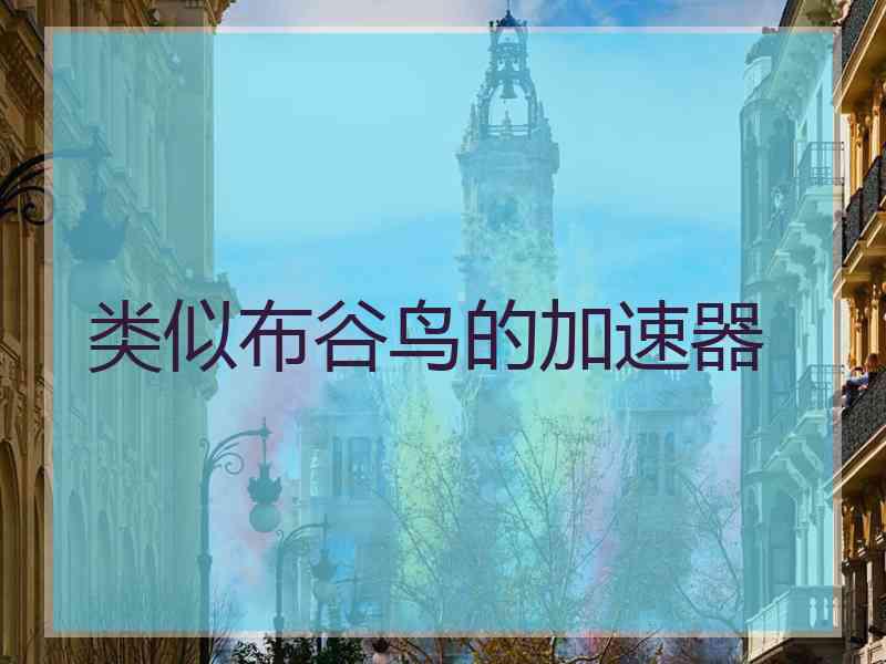 类似布谷鸟的加速器