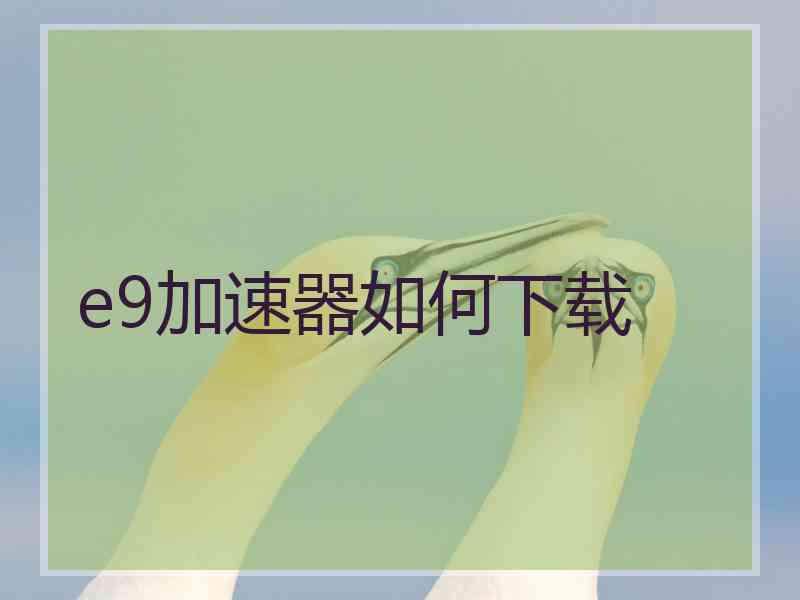 e9加速器如何下载