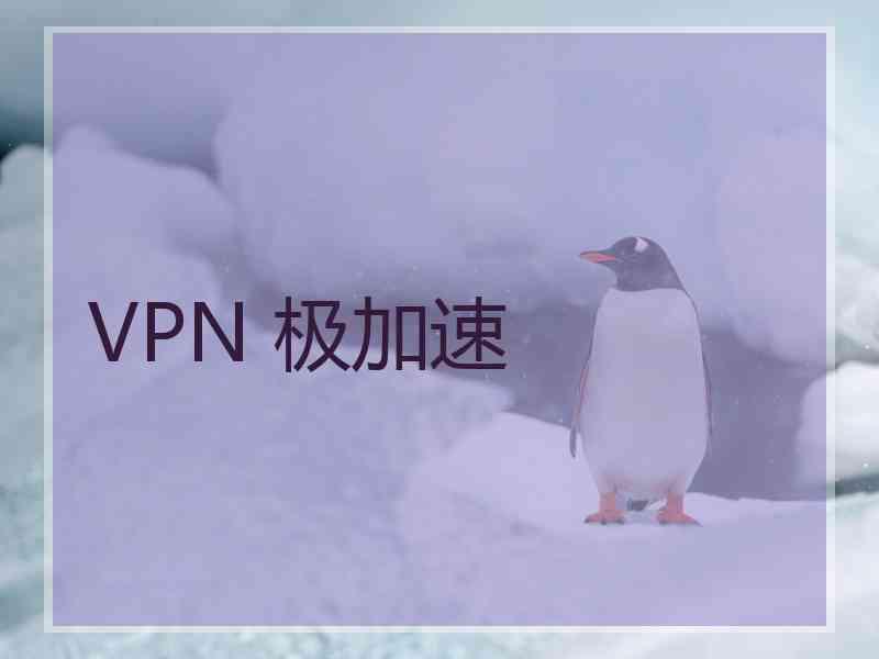VPN 极加速