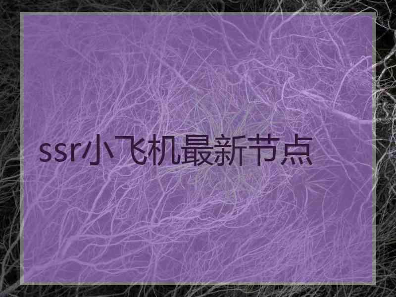 ssr小飞机最新节点