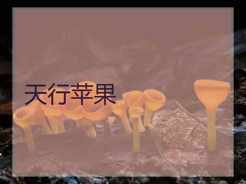 天行苹果