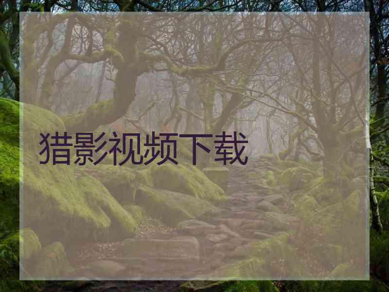 猎影视频下载