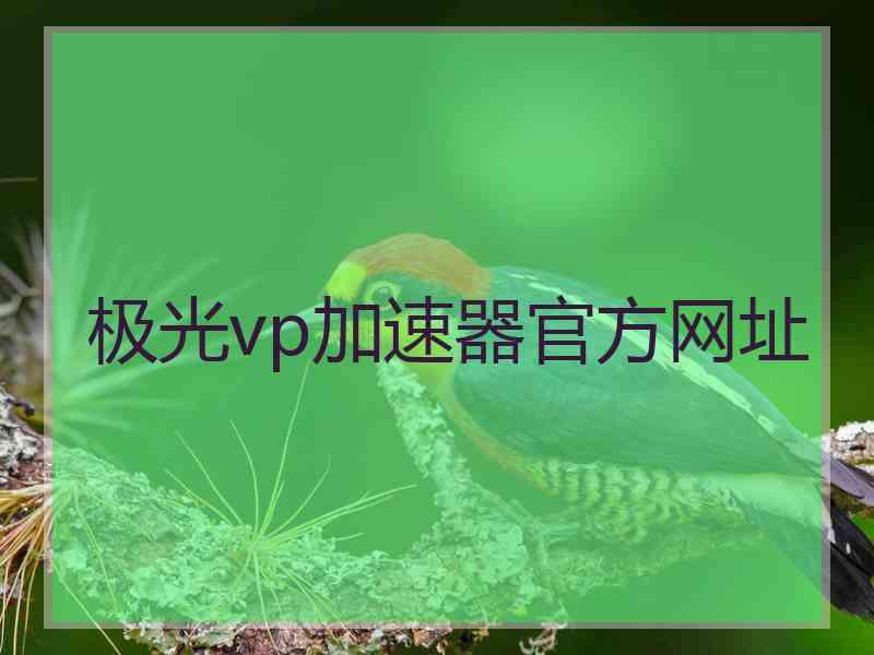 极光vp加速器官方网址