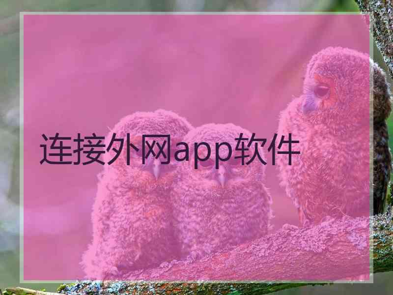 连接外网app软件