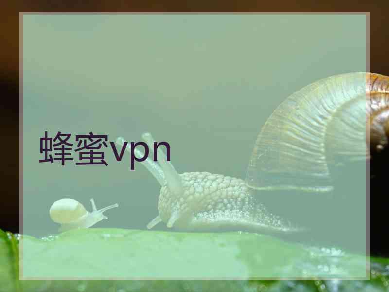 蜂蜜vpn