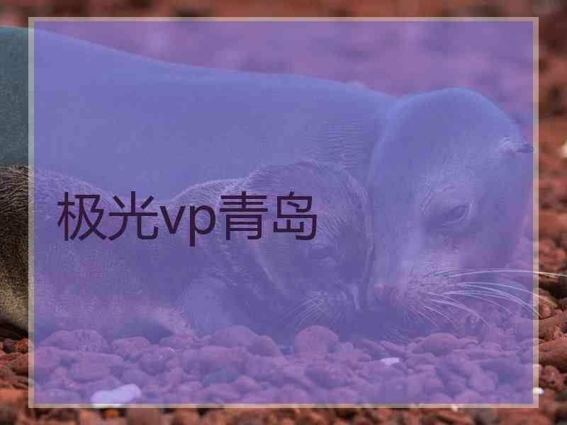 极光vp青岛