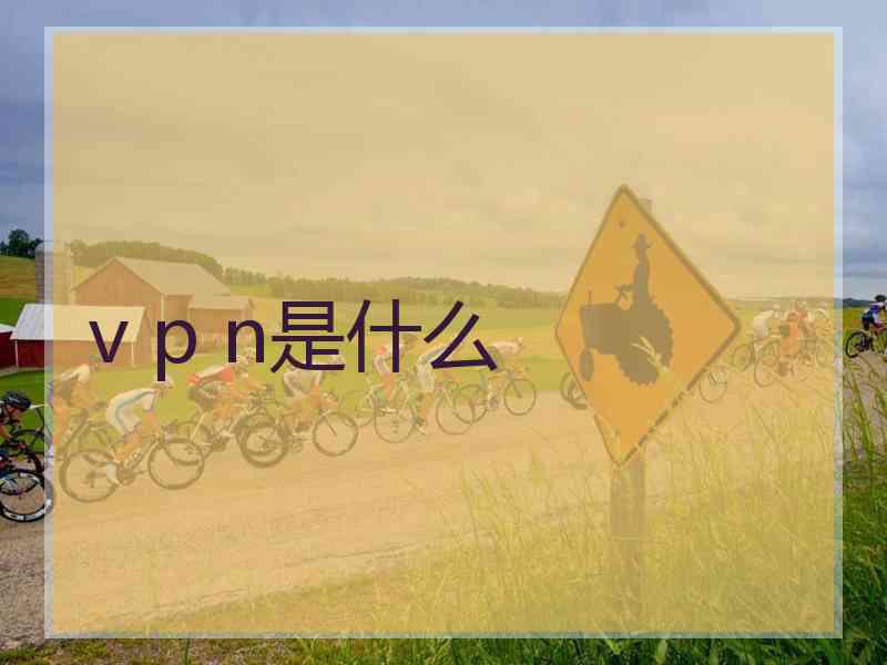 v p n是什么