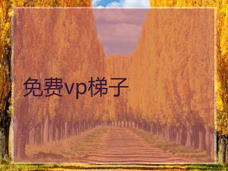 免费vp梯子