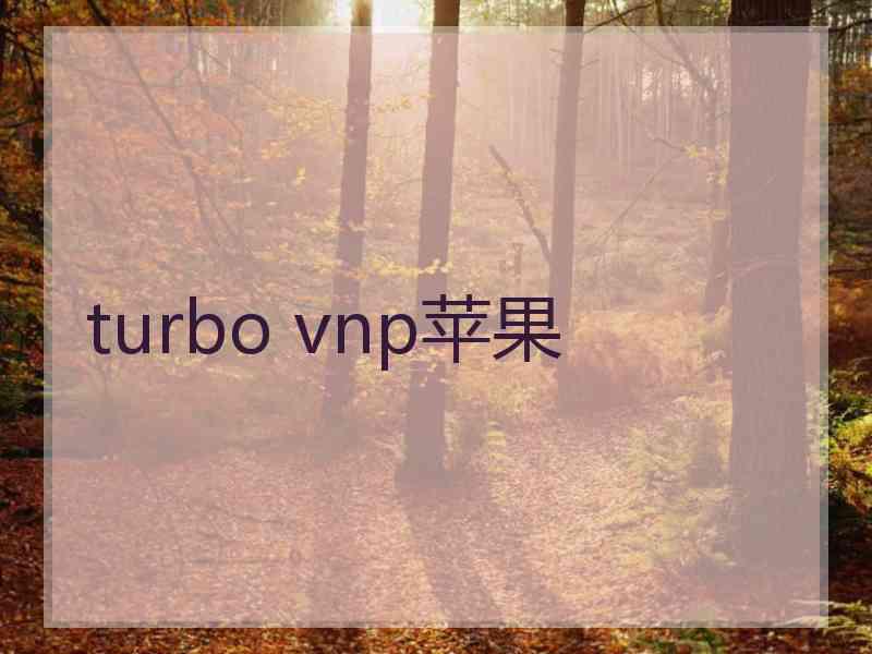 turbo vnp苹果