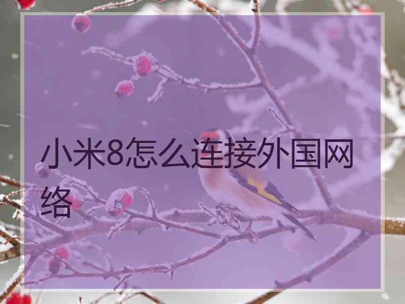 小米8怎么连接外国网络
