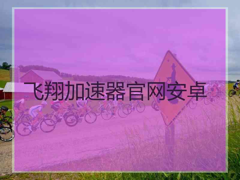 飞翔加速器官网安卓