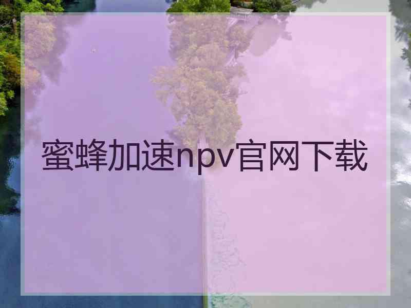 蜜蜂加速npv官网下载
