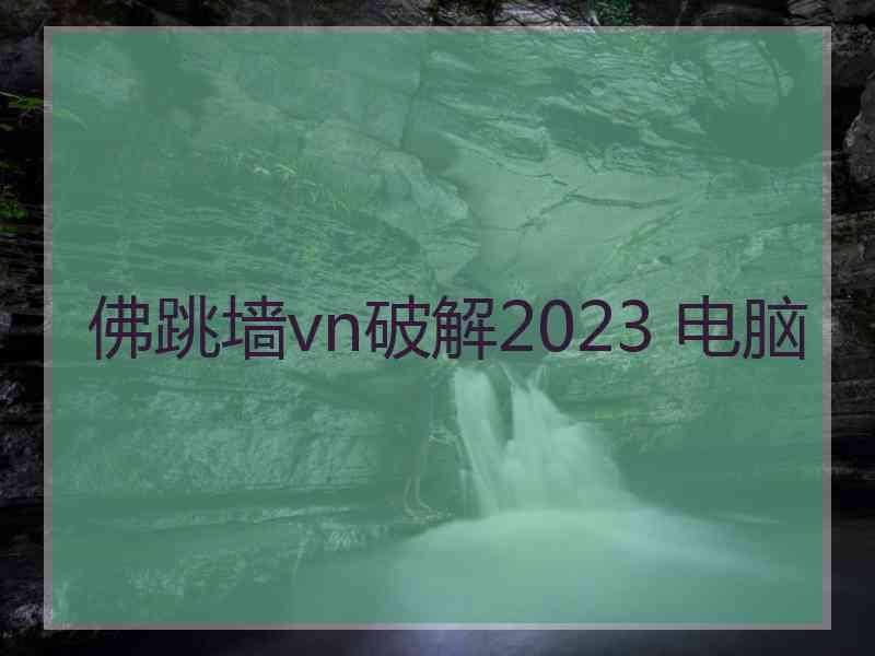 佛跳墙vn破解2023 电脑