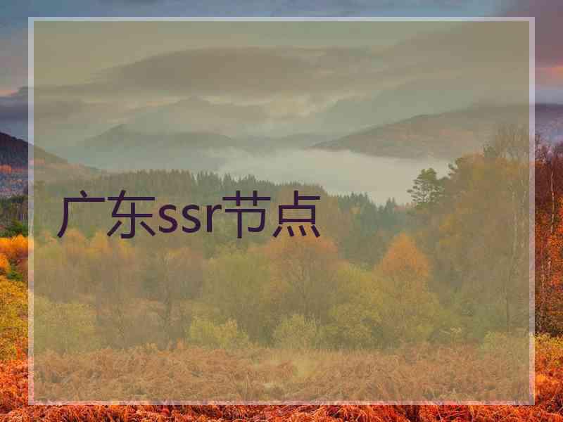广东ssr节点