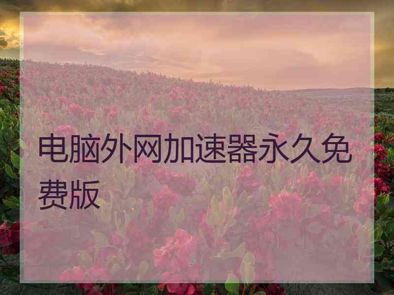 电脑外网加速器永久免费版