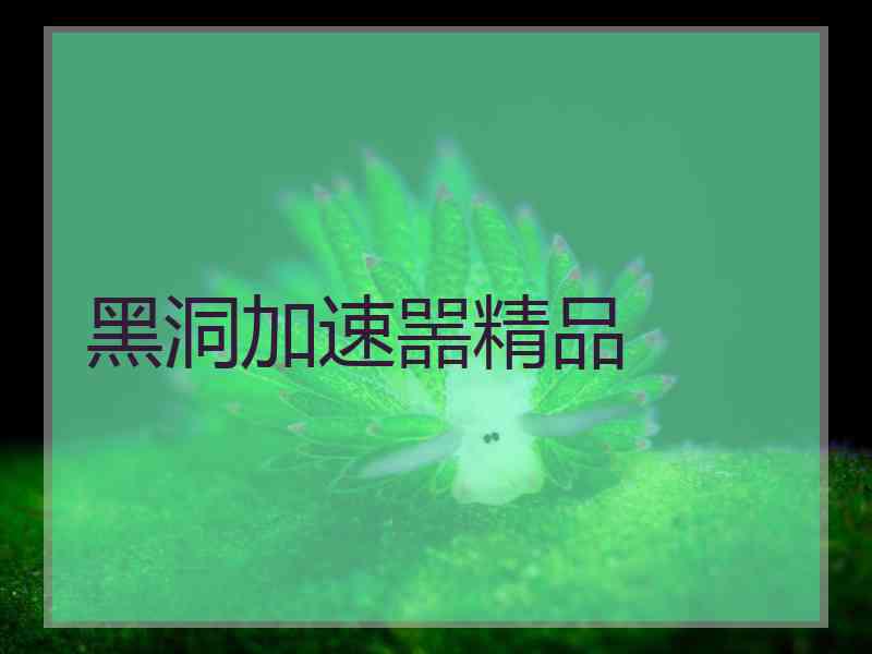 黑洞加速噐精品