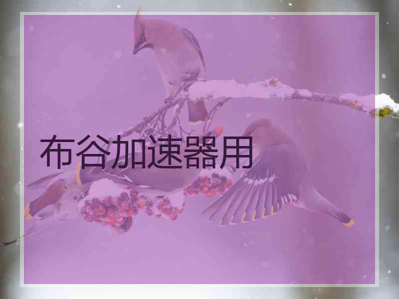 布谷加速器用