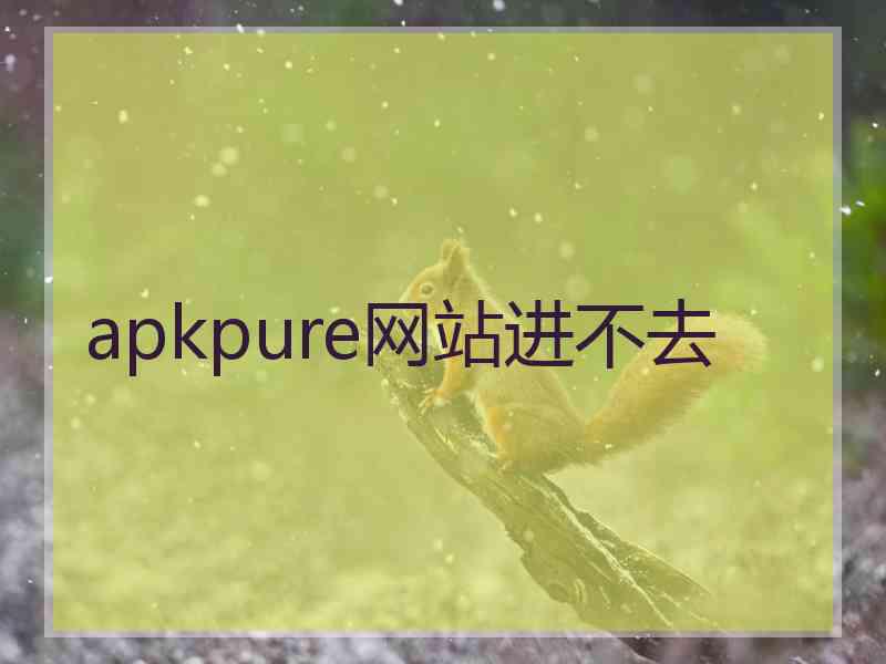 apkpure网站进不去