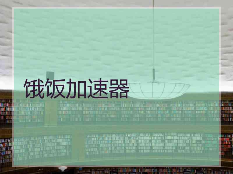 饿饭加速器