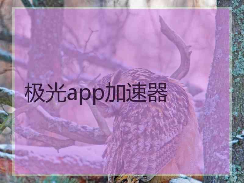 极光app加速器