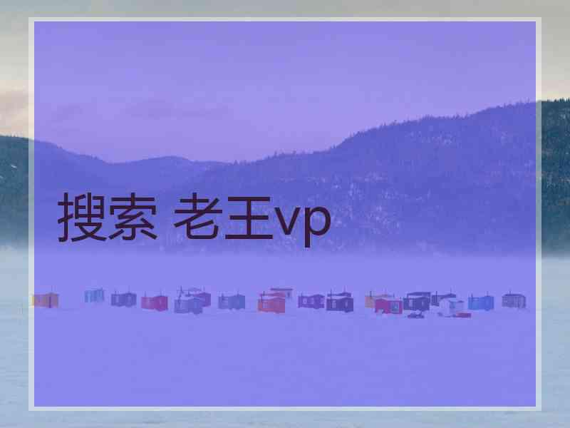 搜索 老王vp