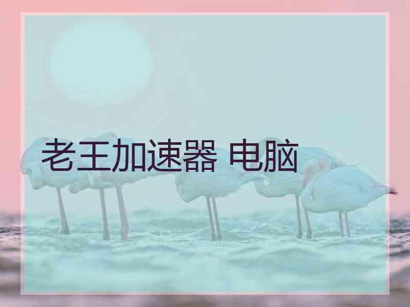 老王加速器 电脑