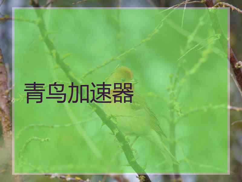 青鸟加速器