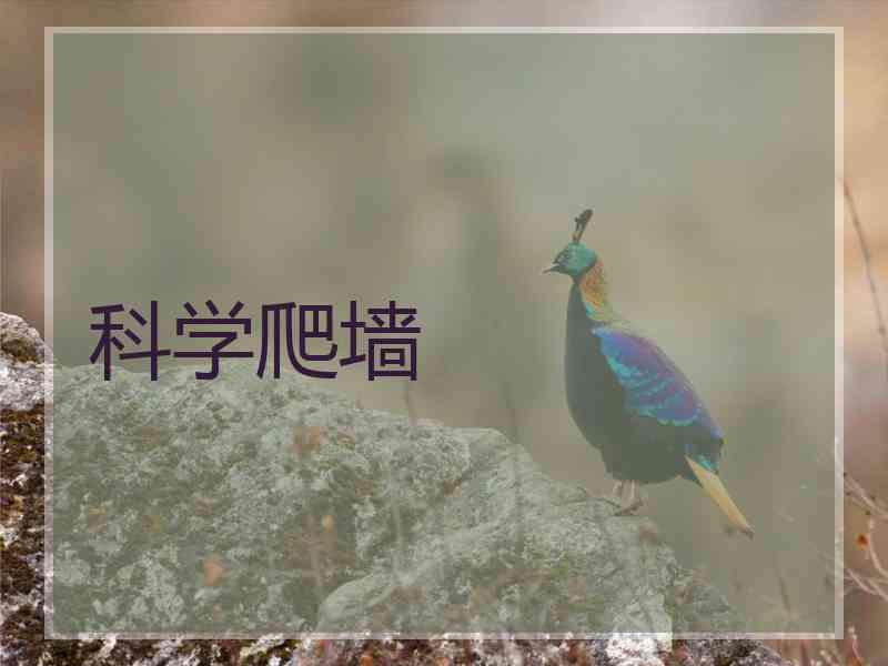 科学爬墙