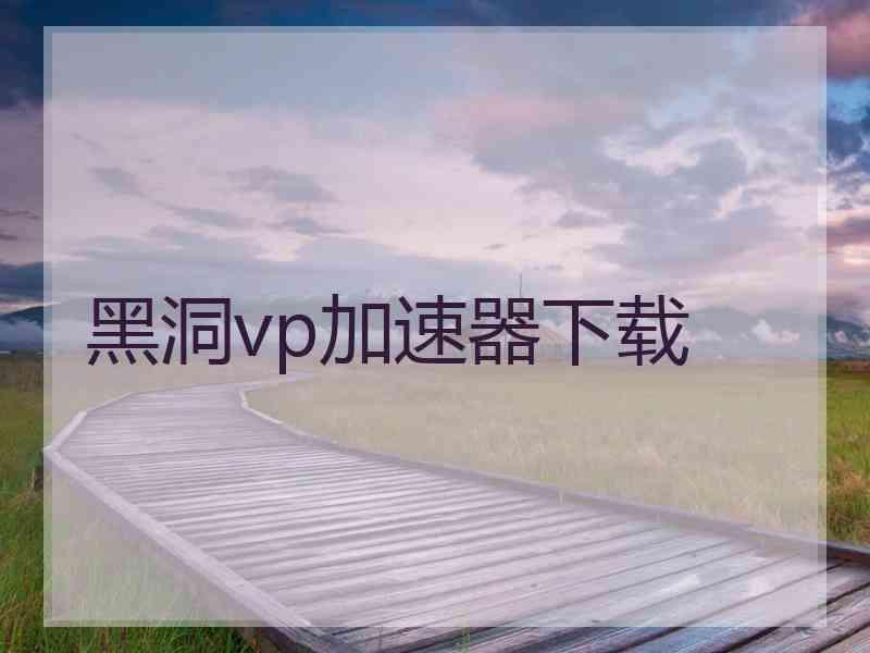 黑洞vp加速器下载
