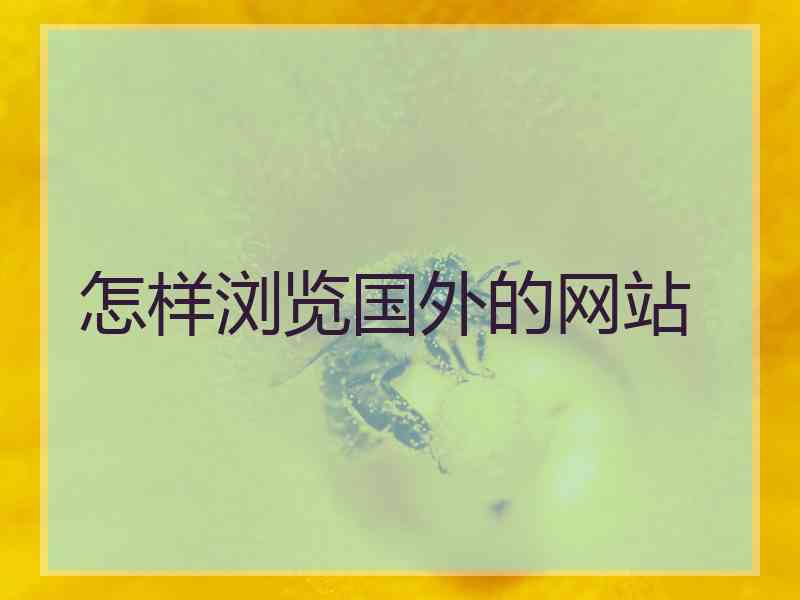 怎样浏览国外的网站