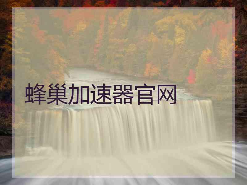 蜂巢加速器官网
