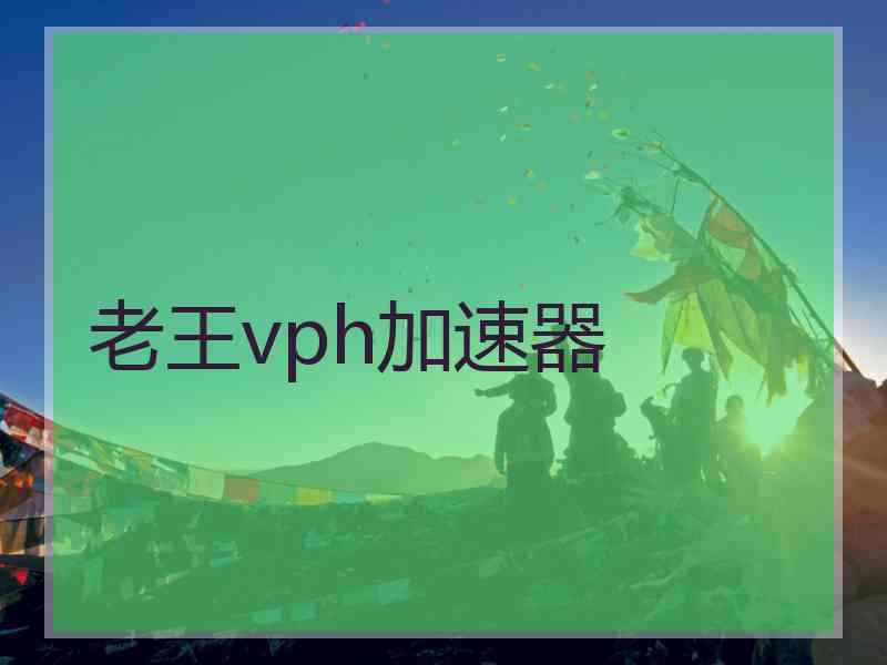 老王vph加速器