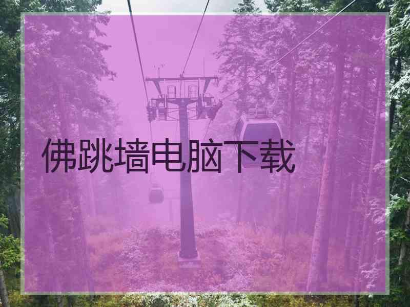佛跳墙电脑下载